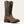 Load image into Gallery viewer, Ariat Men's - Sport Fresco VentTEK Western Boot - Square Toe