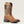 Load image into Gallery viewer, Ariat Men's - 11" Sport My Country VentTEK Western Boot - Wide Square Toe