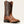 Load image into Gallery viewer, Ariat Men's - 11" Sport Western Leather Boot - Wide Square Toe MENS WESTERN SQUARETOEARIAT INTERNATIONAL, INC.