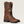 Load image into Gallery viewer, Ariat Men's - Sport All Country Patriotic Western Boot - Square Toe