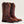 Load image into Gallery viewer, Ariat Women's - 10" Delilah StretchFit Leather Western Boot - Square Toe