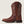 Load image into Gallery viewer, Ariat Women's - 10" Delilah StretchFit Leather Western Boot - Square Toe