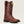 Load image into Gallery viewer, Ariat Women's - 10" Delilah StretchFit Leather Western Boot - Square Toe