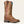 Load image into Gallery viewer, Ariat Women's - 11" Ridgeback Leather Western Boot - Wide Square Toe