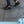Load image into Gallery viewer, Xena Workwear - Astra Athletic EH Safety Work Shoe - Comp Toe