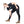 Load image into Gallery viewer, Dovetail Women's Field Utility High-Rise Legging in Black