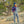 Load image into Gallery viewer, Dovetail Women's Givens Stretch Flannel Work Shirt in Navy and Orange