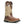 Load image into Gallery viewer, Mens brown boot with ivory shaft and embroidery
