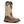 Load image into Gallery viewer, Mens brown boot with ivory shaft and embroidery