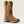 Load image into Gallery viewer, Ariat Women&#39;s - 10&quot; Anthem Deer Waterproof Western Boot - Square Toe
