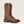 Load image into Gallery viewer, Ariat Kids - 8&quot; WorkHog XT Coil Western Boot - Wide Square Toe CHILDRENSBOOTSQ TOEARIAT INTERNATIONAL, INC.
