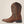 Load image into Gallery viewer, Ariat Men&#39;s - 11&quot; Sport Rambler Brown Western Boot - Wide Square Toe MENS WESTERN SQUARETOEARIAT INTERNATIONAL, INC.
