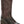 Load image into Gallery viewer, Nocona Women&#39;s - 11&quot; Audrey Leather Pull On Western Boot - Square Toe
