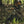 Load image into Gallery viewer, Hunter wearing camouflage and brown and camouflage boots sitting against a tree in a forest with a rifle
