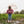Load image into Gallery viewer, Muck Boot Toddler - Mini Muck Waterproof Rain Boots - Pink CHILDRENSBOOT MISC.RUBBERROCKY BRANDS, INC
