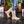 Load image into Gallery viewer, MUCK Women's - 12" Rainscape Adjustable Rain Boots - Sand Beige WOMENS BOOT MISC.RUBBERROCKY BRANDS, INC
